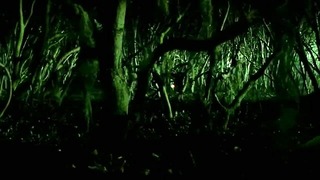 Sexy Male Gets It In A Swamp, Horror Movie Coitus