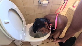 Human toilet Hindi Slut Receive Pissed on and Take Her Head Flushed Followed By Sucking Dick.
