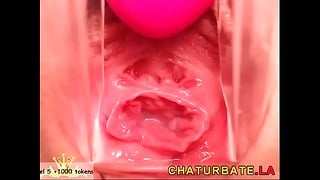 Gyno Cam Close-Up Vagina Cervix Siswet19 — Мой чат