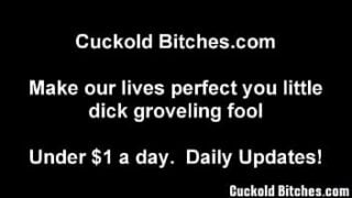 Humiliating You My Cuckold