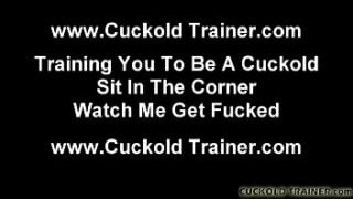 Humiliation A Cuckold Like You Is So Much Fun