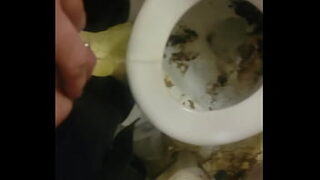 Pierced Cock Pissing