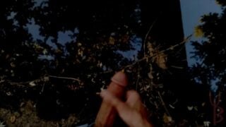 Pissing And Cumming In Some Creepy Scary Woods! Btm