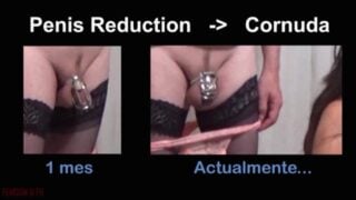 Reduce Penis Size With Smaller Chastity Belt